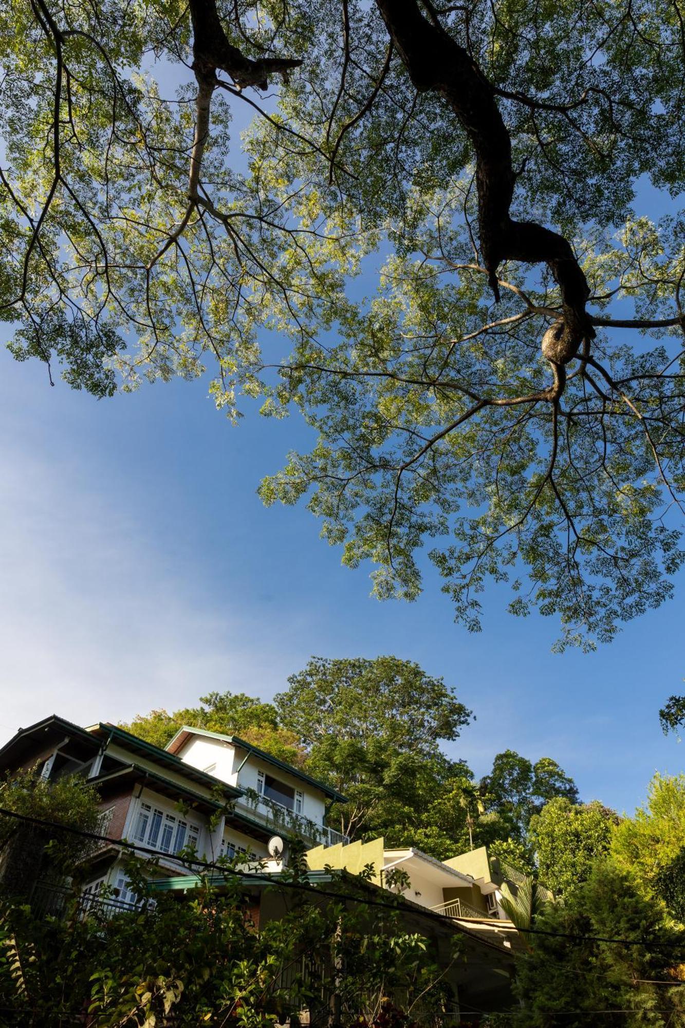 Greenwood Edge Kandy Extérieur photo