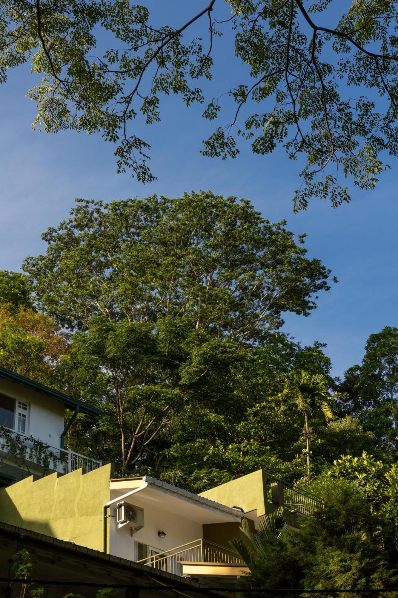 Greenwood Edge Kandy Extérieur photo